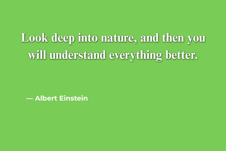 Beautiful and Inspiring August Quotes About Nature